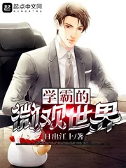 《学霸的微观世界》小说封面
