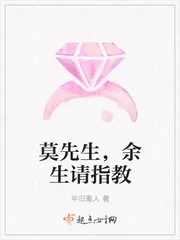 《莫先生，余生请指教》小说封面