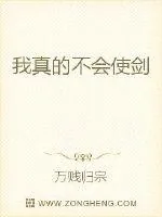《我真的不会使剑》小说封面