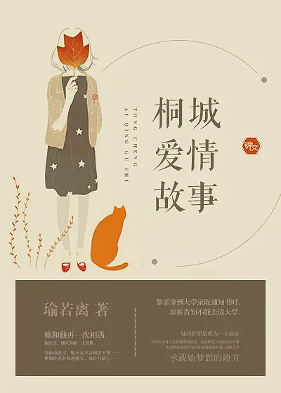 《桐城爱情故事》小说封面