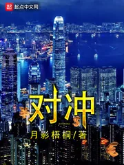 《对冲》小说封面