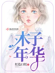 《木子年华》小说封面