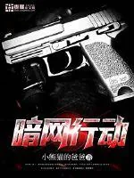 《暗网行动》小说封面