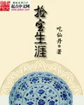 《捡宝生涯》小说封面