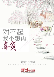 《对不起，我不想再辜负》小说封面