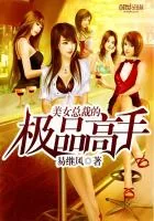 《美女总裁的极品高手》小说封面