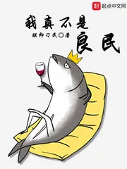《我真不是良民》小说封面