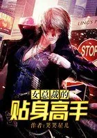 《女总裁的贴身高手》小说封面