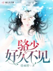 《骆少，好久不见》小说封面