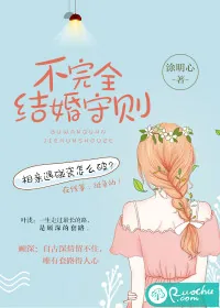 《不完全结婚守则》小说封面
