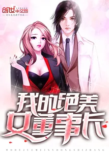 《我的绝美女董事长》小说封面