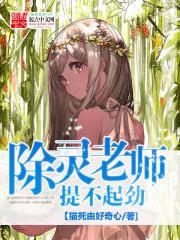 《除灵老师提不起劲》小说封面