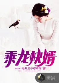《乘龙快婿》小说封面