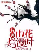《山花烂漫时》小说封面