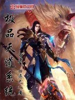 《极品天道系统》小说封面