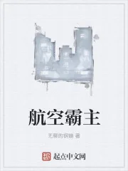 《航空霸主》小说封面
