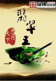 《翡翠王》小说封面
