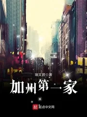 《加州第一家》小说封面