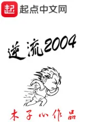 《逆流2004》小说封面