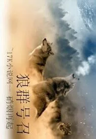 《狼群号召》小说封面