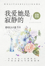 《我爱她是寂静的》小说封面