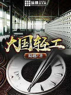 《大国轻工》小说封面