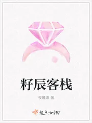 《籽辰客栈》小说封面