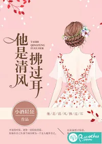 《他是清风拂过耳》小说封面