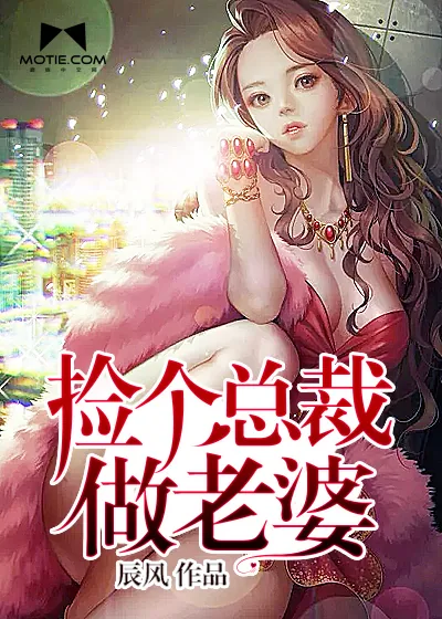 《捡个总裁做老婆》小说封面