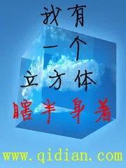 《我有一个立方体》小说封面
