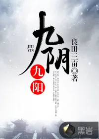 《九阴九阳》小说封面
