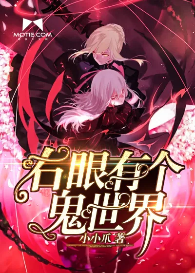 《右眼有个鬼世界》小说封面