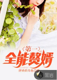 《第一全能赘婿》小说封面
