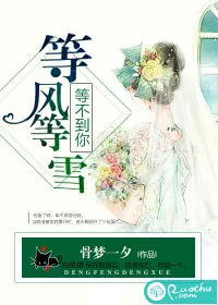 《等风等雪，等不到你》小说封面