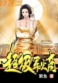 《超级军火商》小说封面