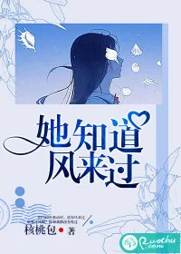 《她知道风来过》小说封面