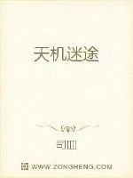 《天机迷途》小说封面