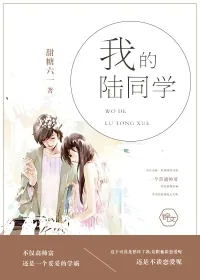 《我的陆同学》小说封面