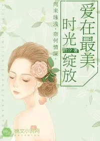 《爱在最美时光绽放》小说封面