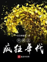 《华娱之疯狂年代》小说封面
