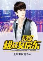 《我的极品女房东》小说封面