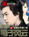 《重生之电子风云》小说封面