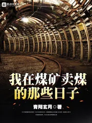 《我在煤矿卖煤的那些日子》小说封面