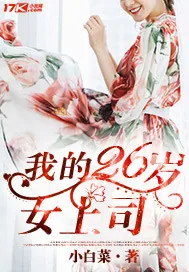 《我的26岁女上司》小说封面