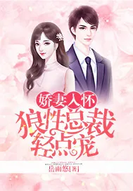 《娇妻入怀：狼性总裁轻点宠》小说封面