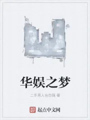 《华娱之梦》小说封面