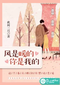 《风是暖的，你是我的》小说封面