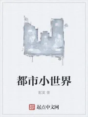 《都市小世界》小说封面