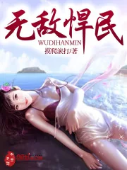 《无敌悍民》小说封面