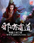 《邪亦有道》小说封面